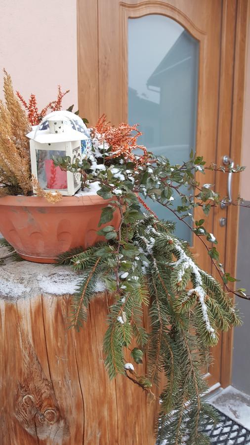 Casa Di Girolamo Lägenhet Predazzo Exteriör bild
